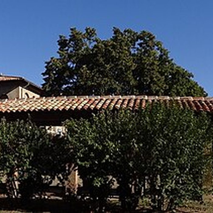 Photo de Centre hospitalier Gérard-Marchant de Toulouse