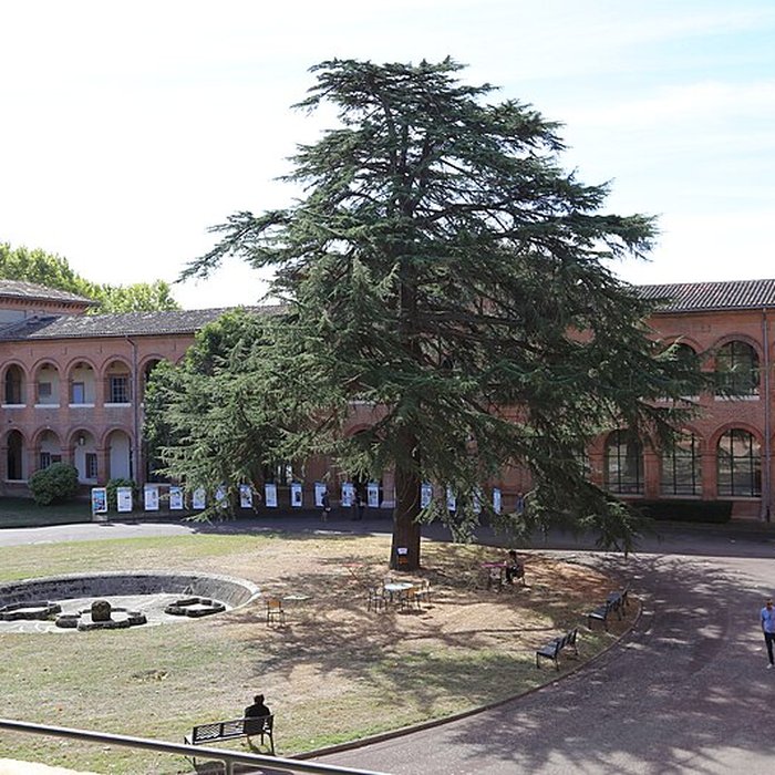 Photo de Centre hospitalier Gérard-Marchant de Toulouse