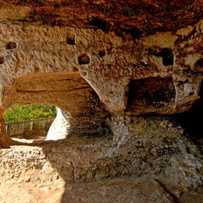 Photo de Abri de la Madeleine à Tursac