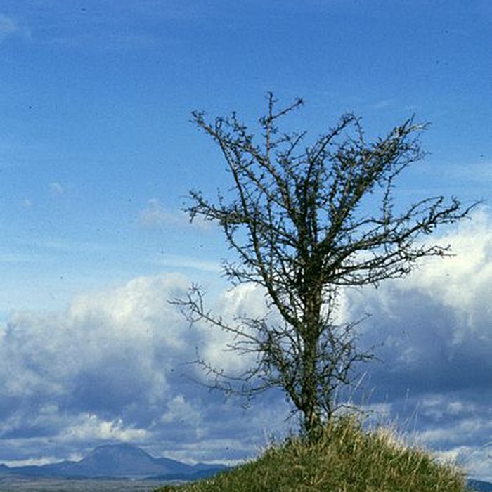 Photo de Chapelle de Brionnet