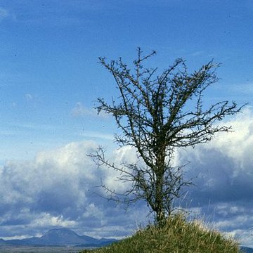 Chapelle de Brionnet