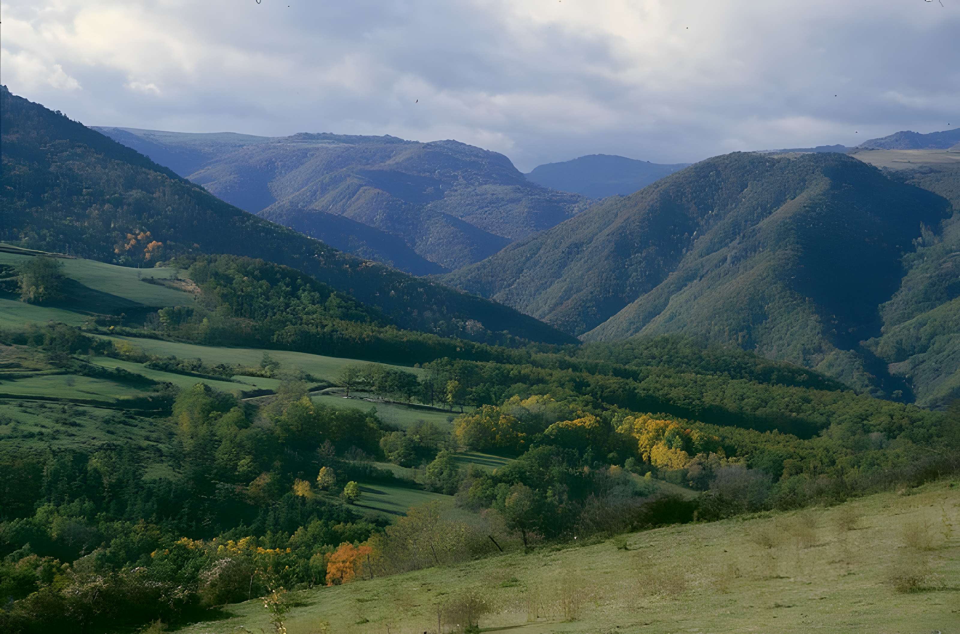 Chapelle de Brionnet