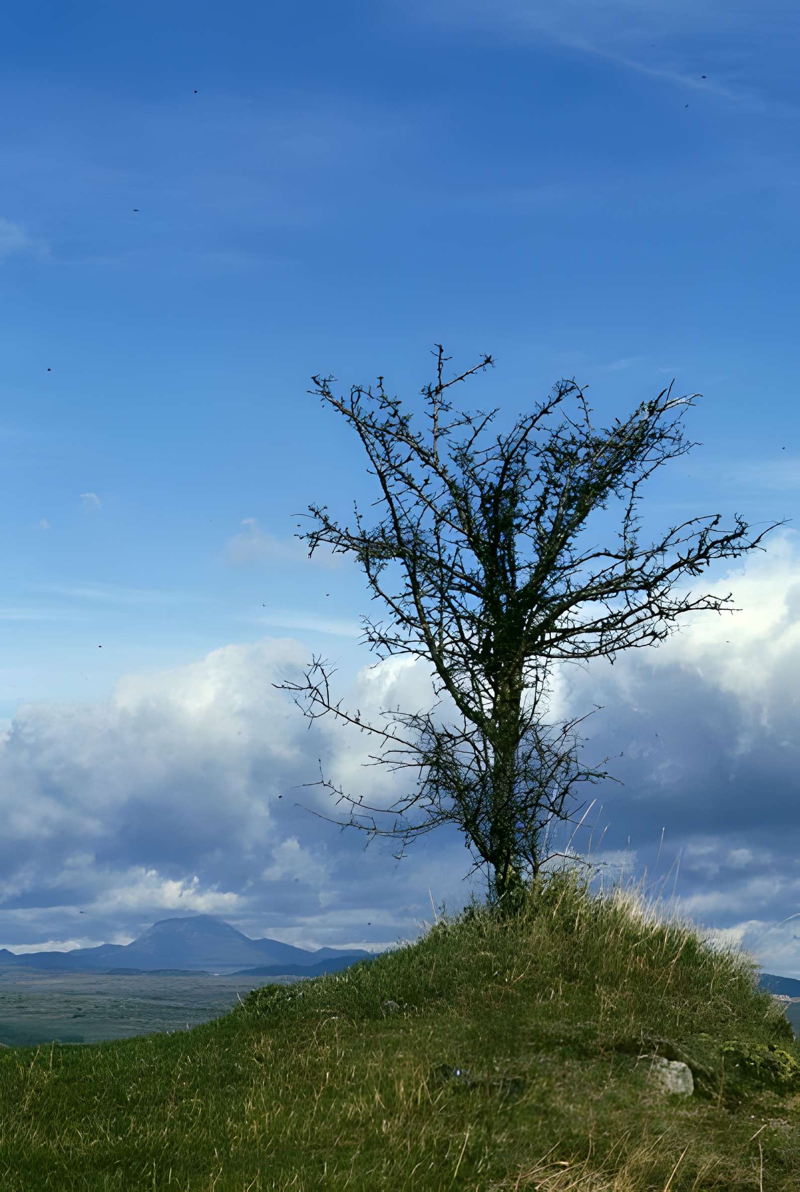 Chapelle de Brionnet