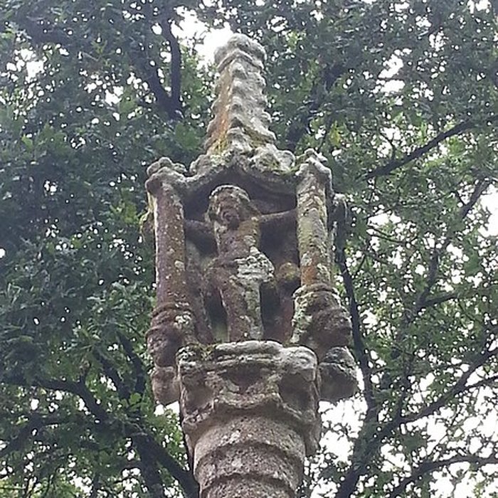 Photo de Chapelle de Cohazé