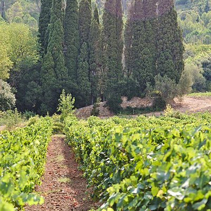 Photo de Chapelle de Gléon