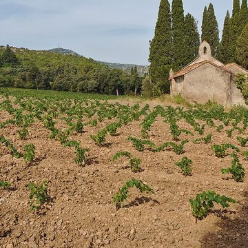 Chapelle de Gléon