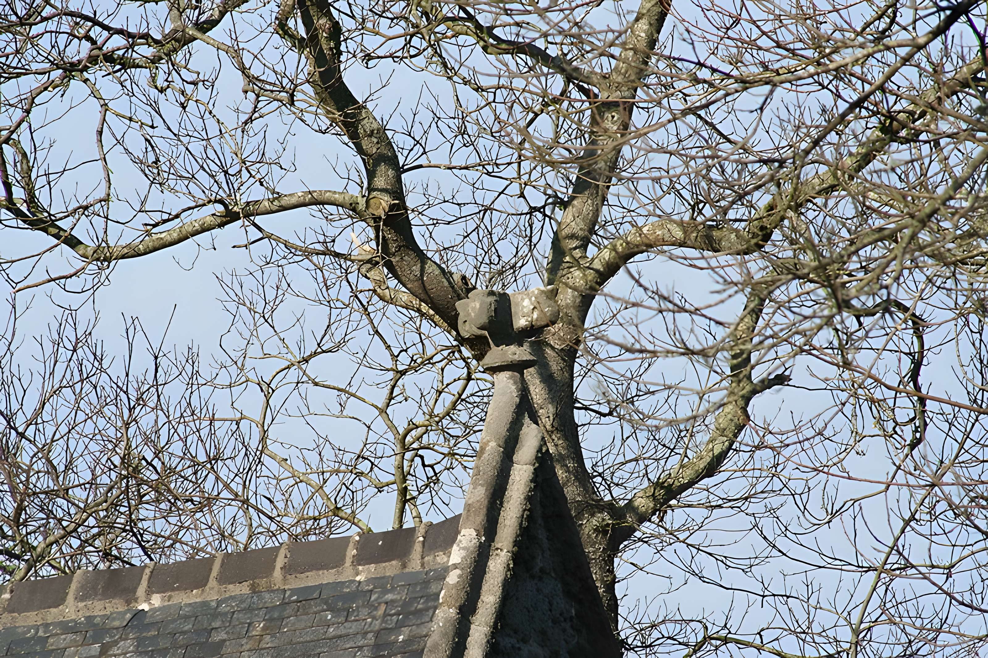 Chapelle de Kerfons-en-Kerfaouës