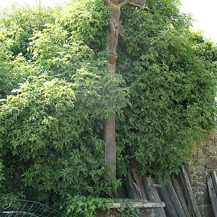 Photo de Chapelle de la Cassine