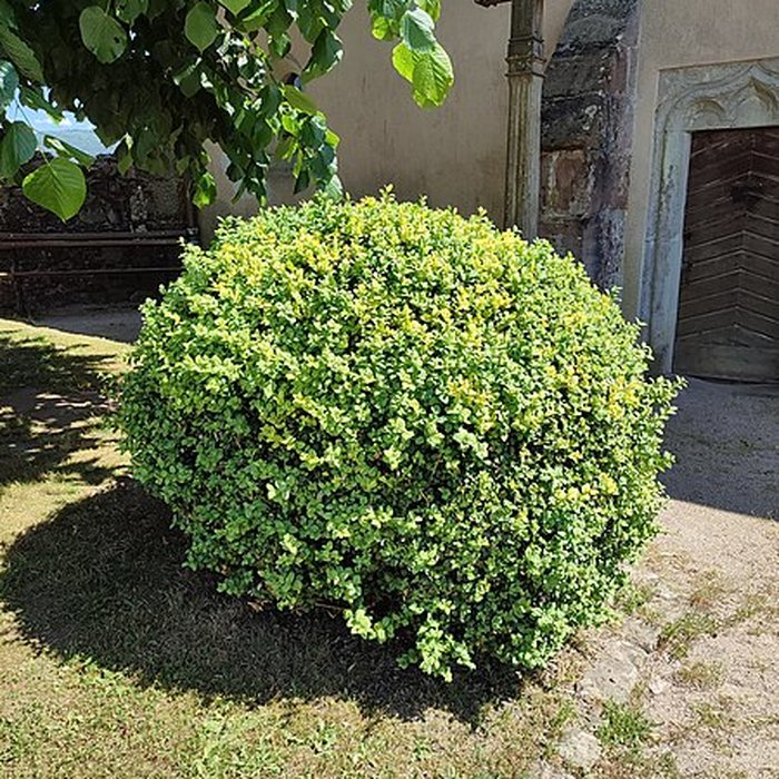 Photo de Chapelle de la Madeleine de Remiremont