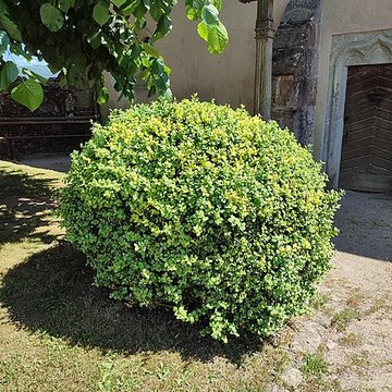 Chapelle de la Madeleine de Remiremont
