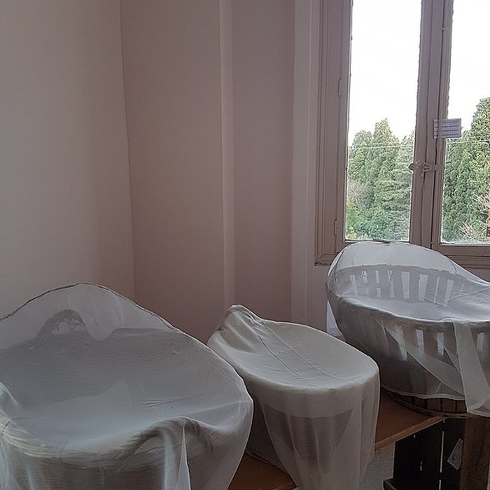 Photo de Maternité suisse dElne