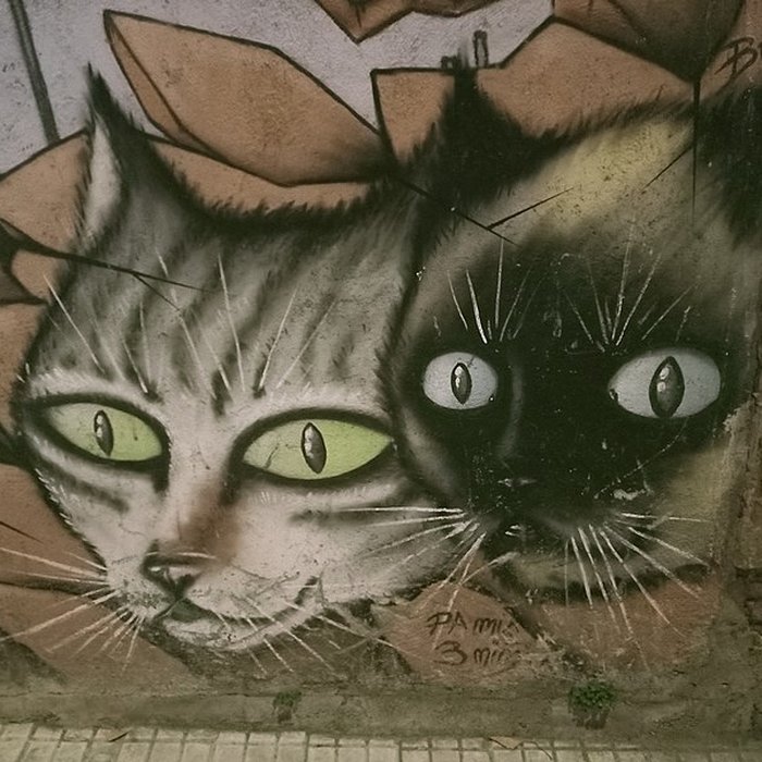 Photo de Maternité suisse dElne