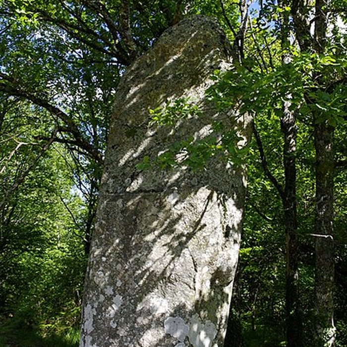 Photo de Menhir de Ceinturat à Cieux
