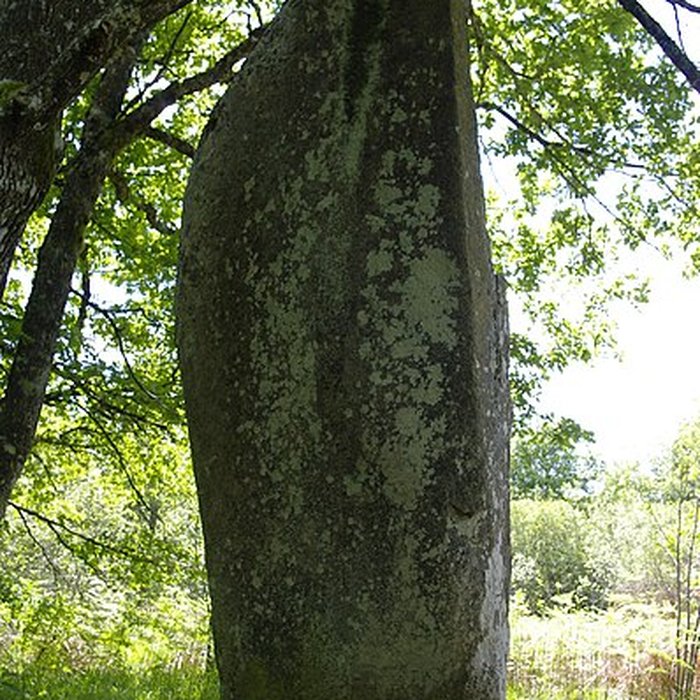 Photo de Menhir de Ceinturat à Cieux