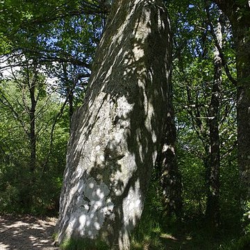 Menhir de Ceinturat à Cieux