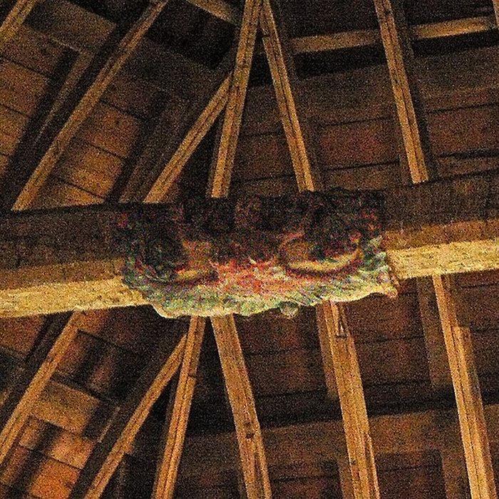 Photo de Chapelle de la Véronique de Bannalec