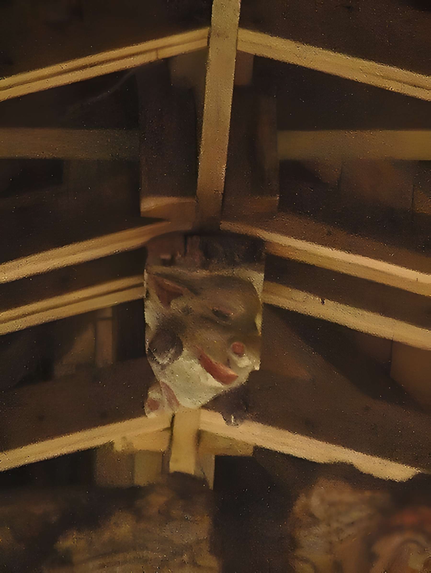 Chapelle de la Véronique de Bannalec