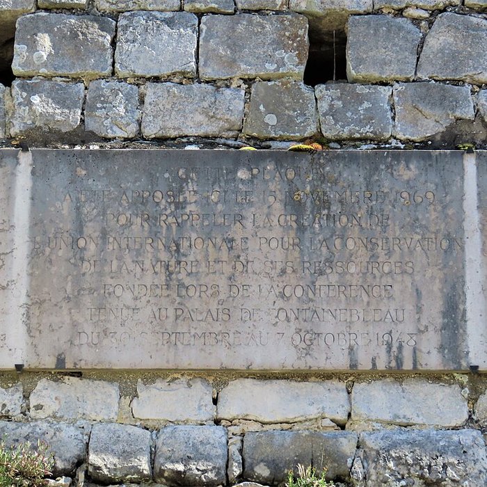 Photo de Chapelle de lermitage de Franchard