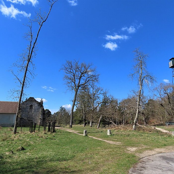 Photo de Chapelle de lermitage de Franchard