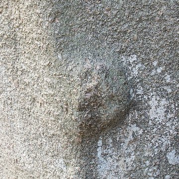 Menhir de Kerveatoux, ou de Kerloas