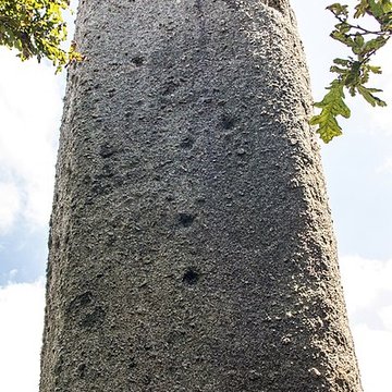 Menhir de Kerveatoux, ou de Kerloas