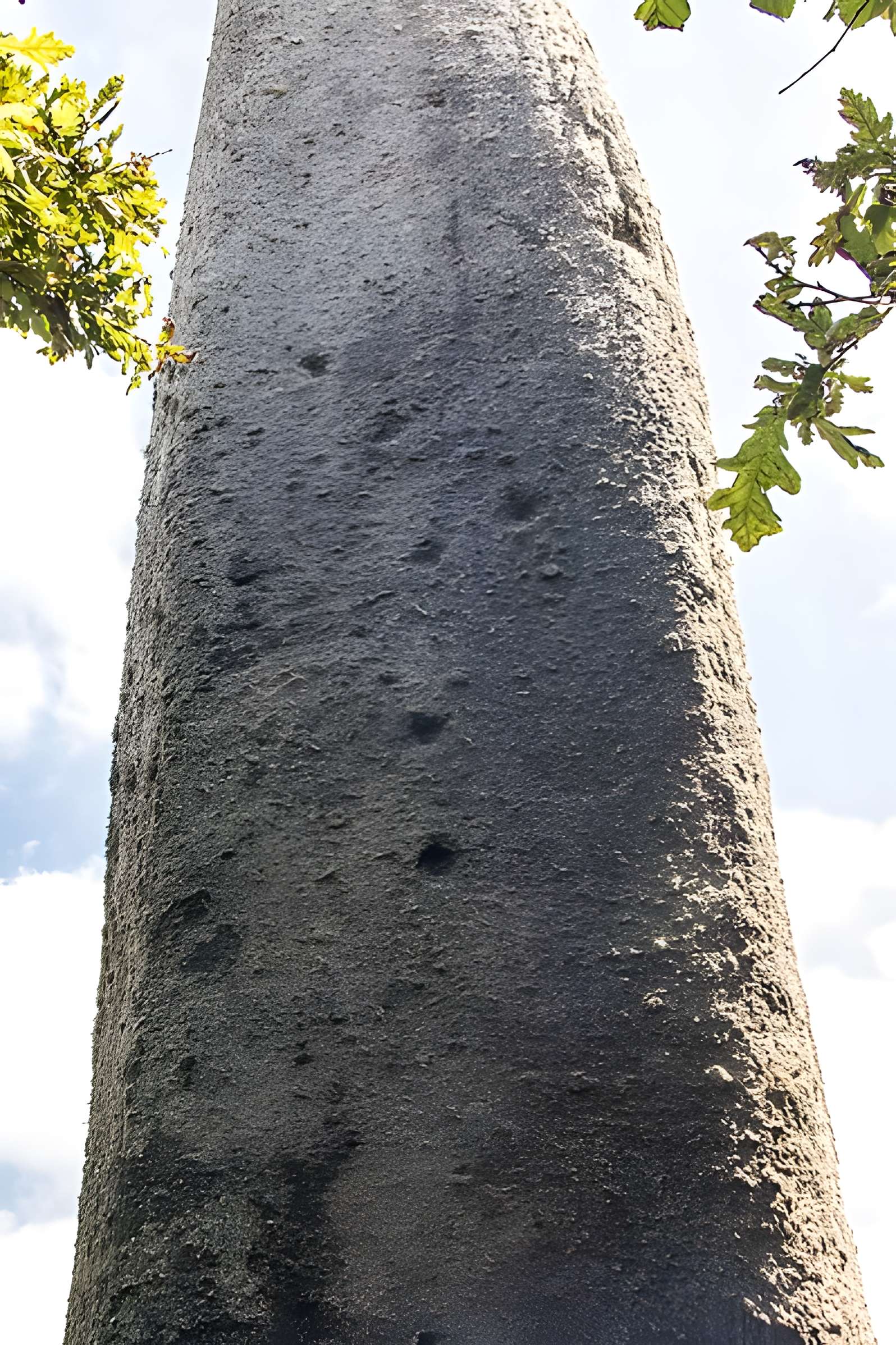 Menhir de Kerveatoux, ou de Kerloas