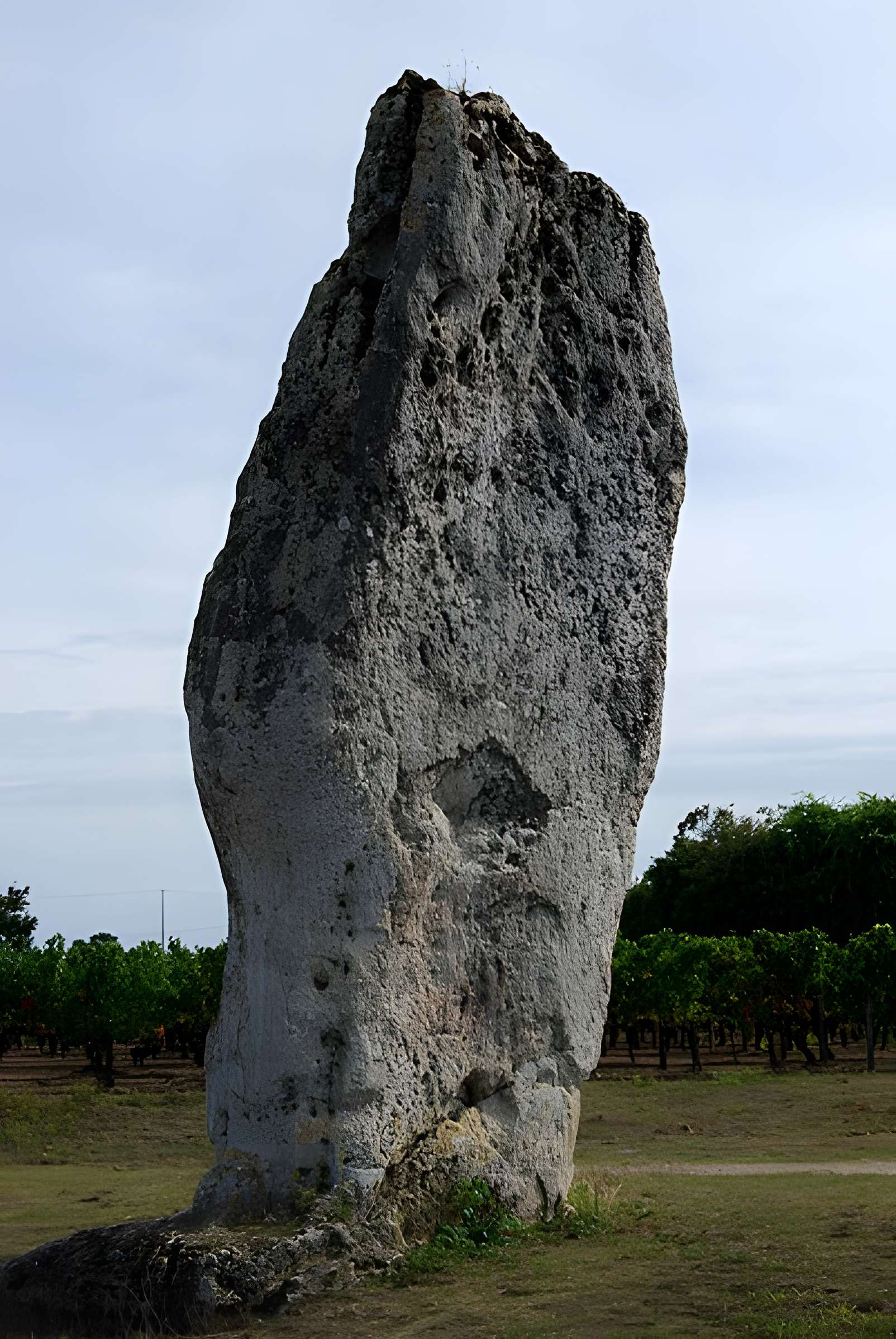 Menhir de Peyrefitte à Saint-Sulpice-de-Faleyrens