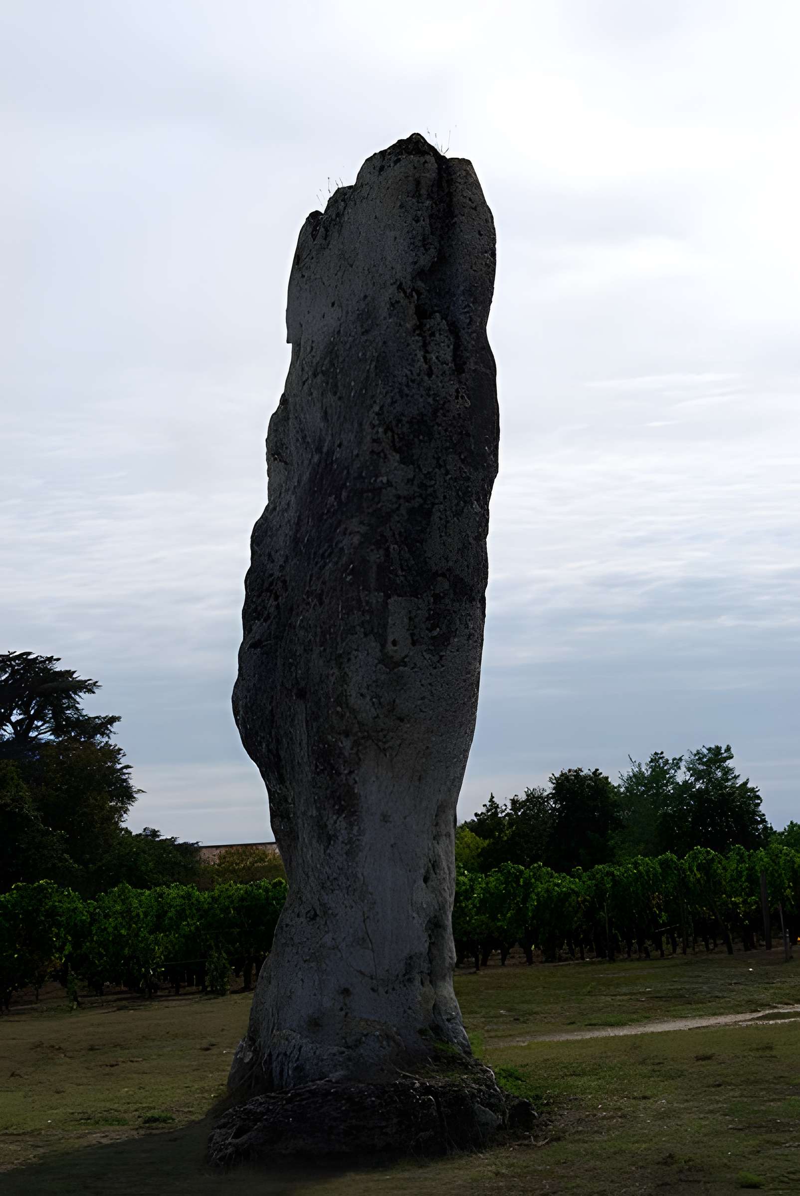 Menhir de Peyrefitte à Saint-Sulpice-de-Faleyrens