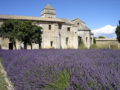 Photo de Monastère Saint-Paul-de-Mausole