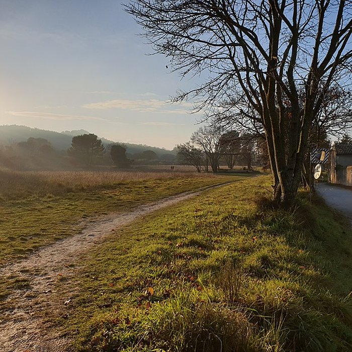 Photo de Monastère Saint-Paul-de-Mausole