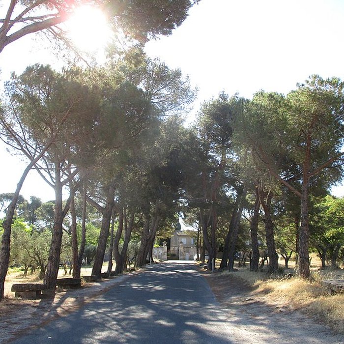 Photo de Monastère Saint-Paul-de-Mausole