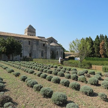 Monastère Saint-Paul-de-Mausole