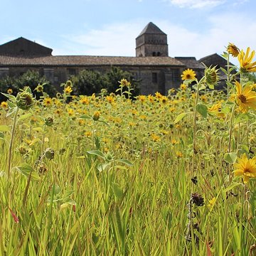 Monastère Saint-Paul-de-Mausole