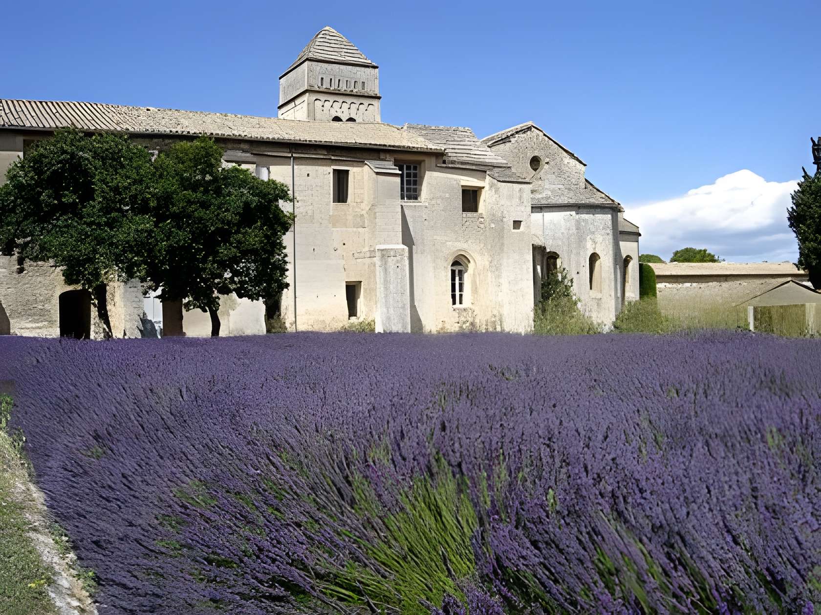 Monastère Saint-Paul-de-Mausole 