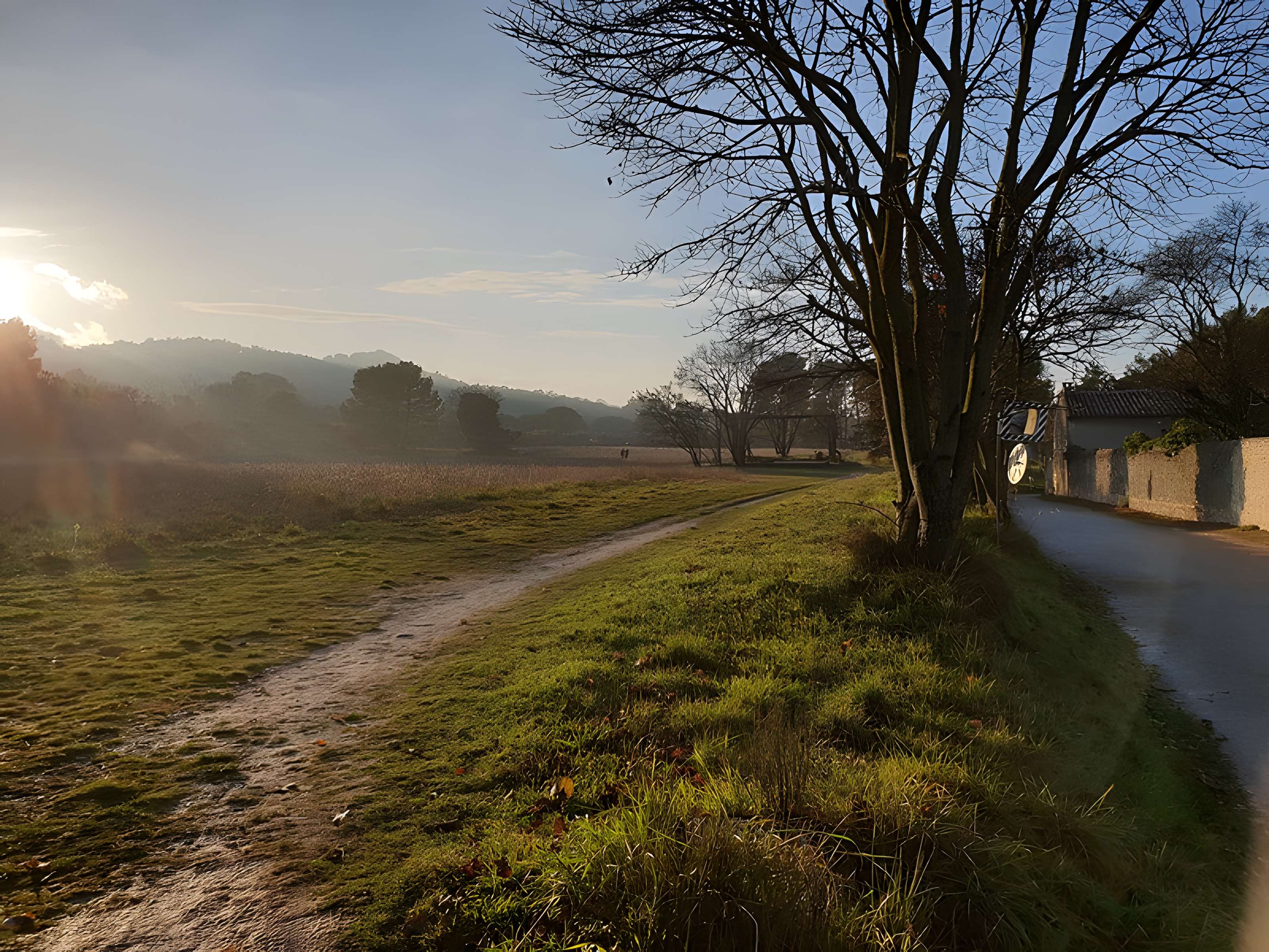 Monastère Saint-Paul-de-Mausole