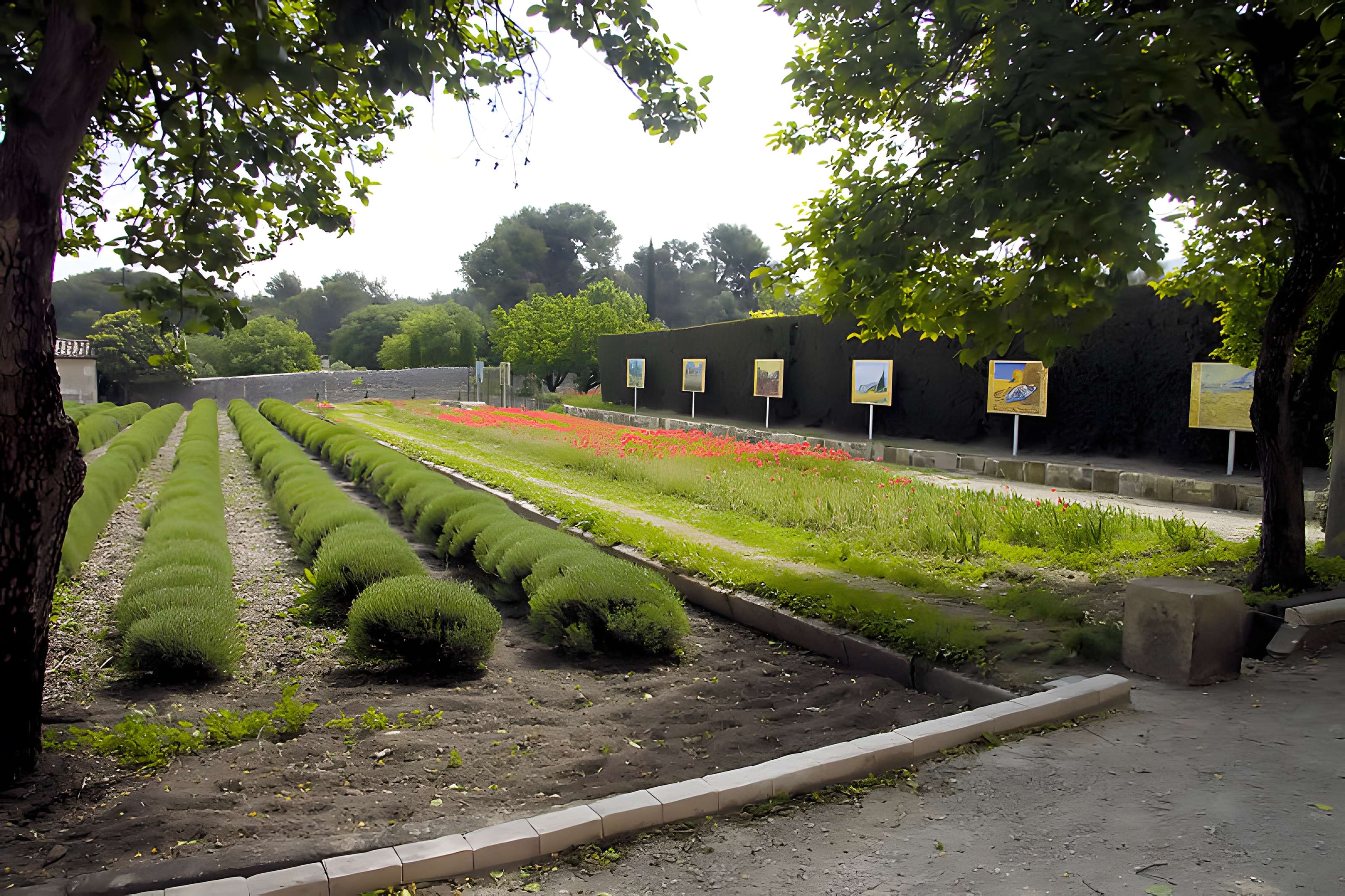 Monastère Saint-Paul-de-Mausole