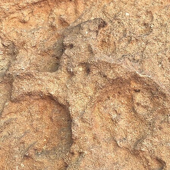 Photo de Chapelle des Templiers de Metz