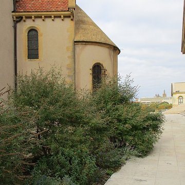 Chapelle des Templiers de Metz