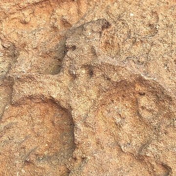 Chapelle des Templiers de Metz