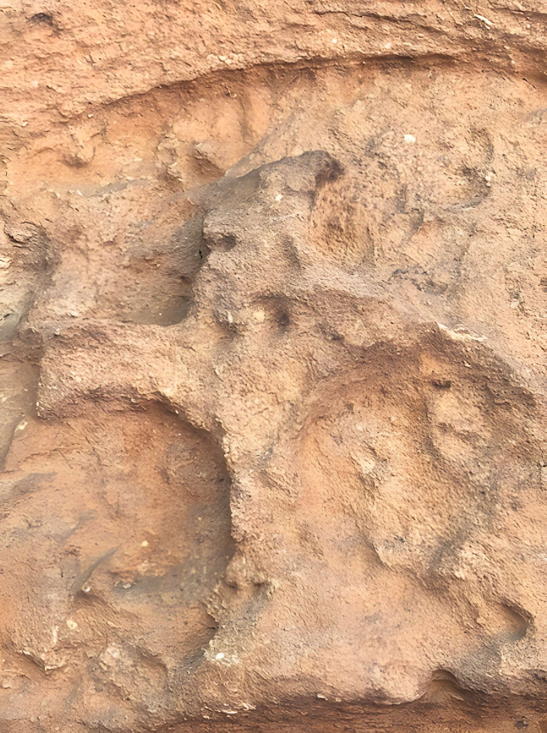 Chapelle des Templiers de Metz