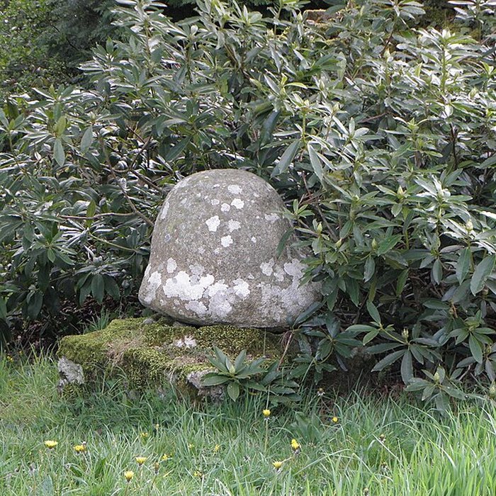 Photo de Chapelle Notre-Dame de Crénénan