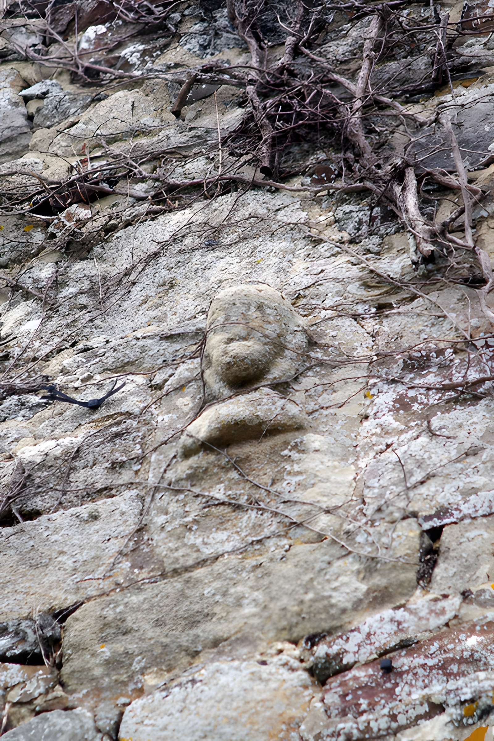 Chapelle Notre-Dame de Hirel