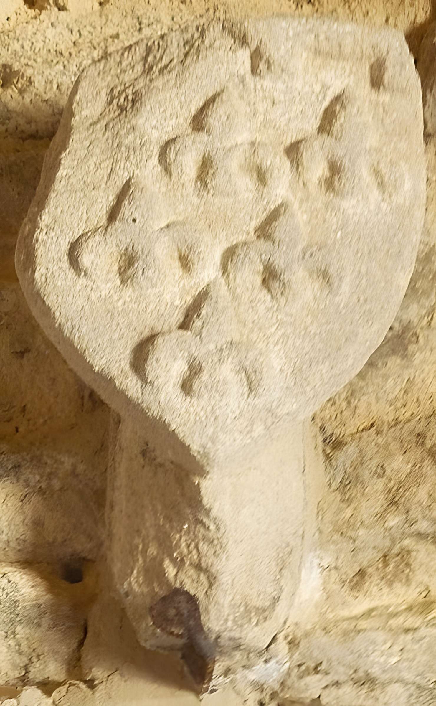 Chapelle Notre-Dame de Languivoa