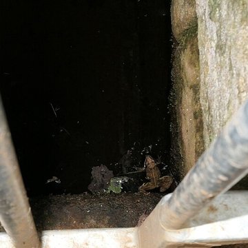 Chapelle Notre-Dame de Lézurgan