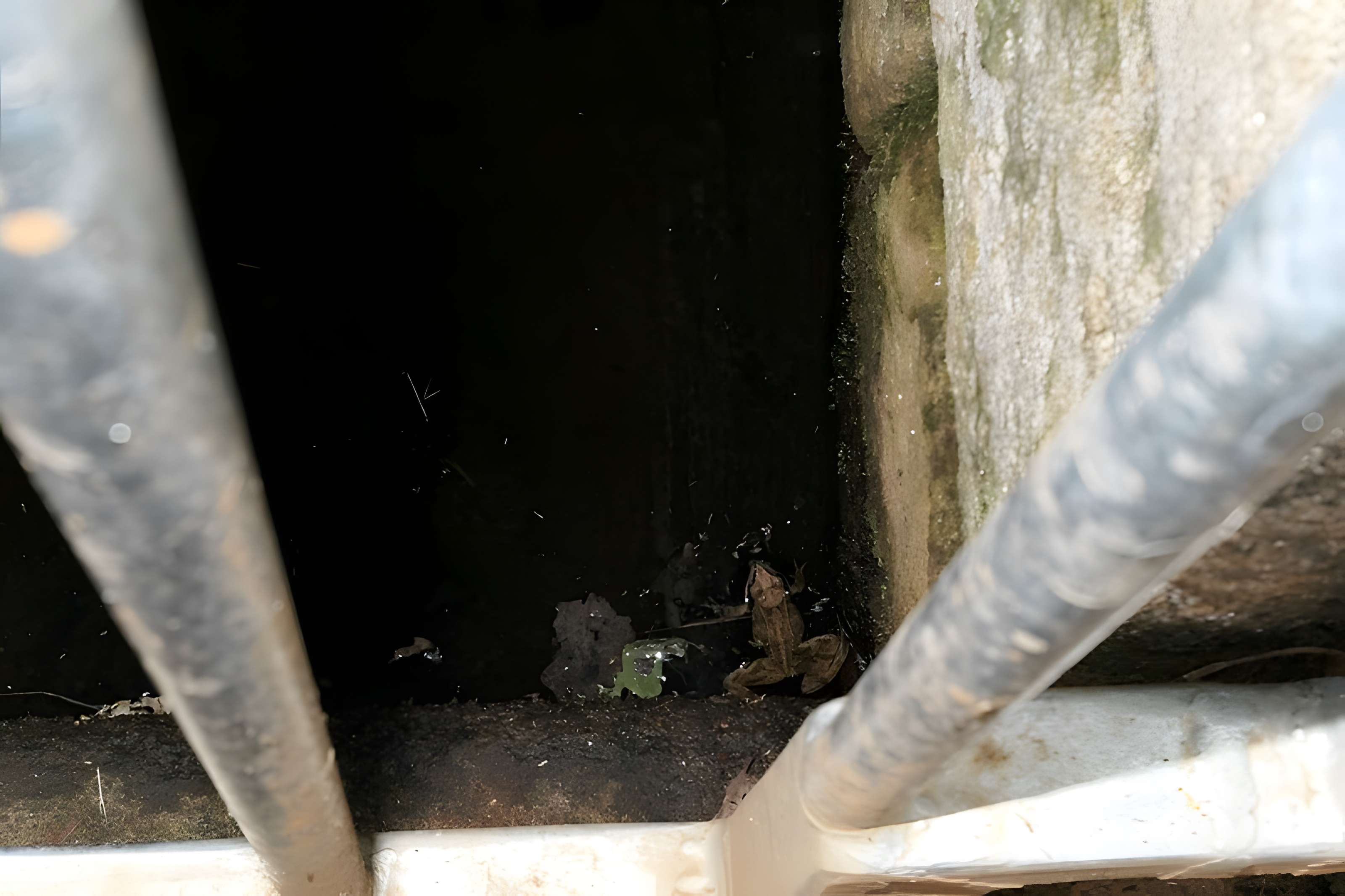 Chapelle Notre-Dame de Lézurgan