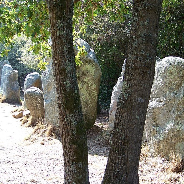 Photo de Alignements de Kerzérho à Erdeven