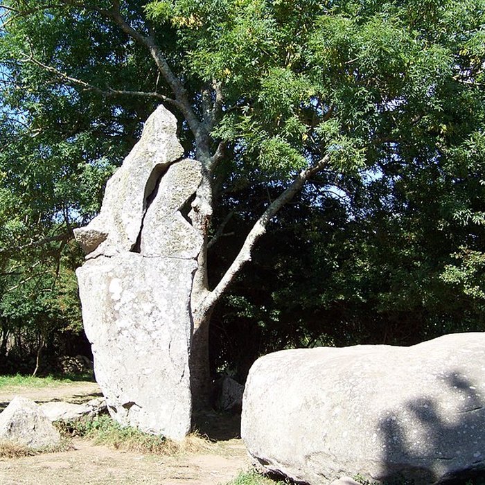 Photo de Alignements de Kerzérho à Erdeven