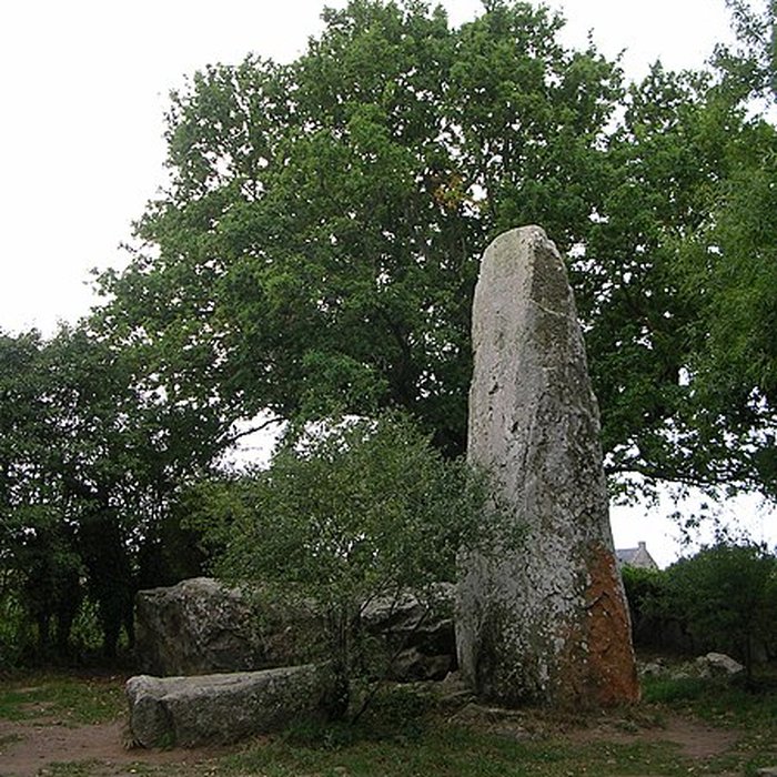 Photo de Alignements de Kerzérho à Erdeven