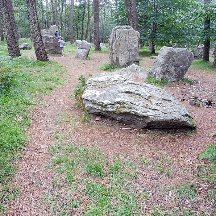 Photo de Alignements de Kerzérho à Erdeven