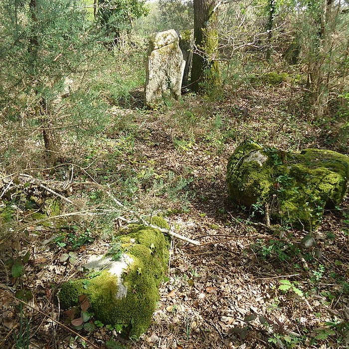 Photo de Alignements de Kerzérho à Erdeven